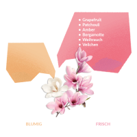 Zen Probe Abfüllung 2ml | von Shiseido